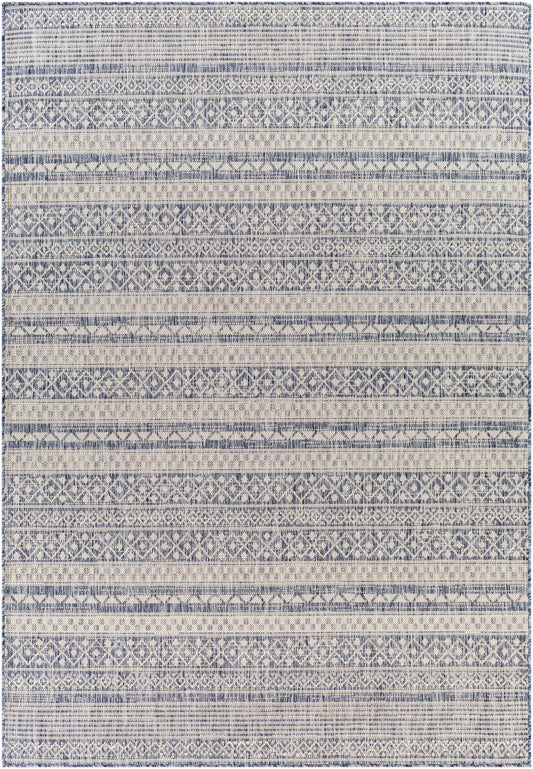 Tuareg TRG-2329 Machine Woven Rug