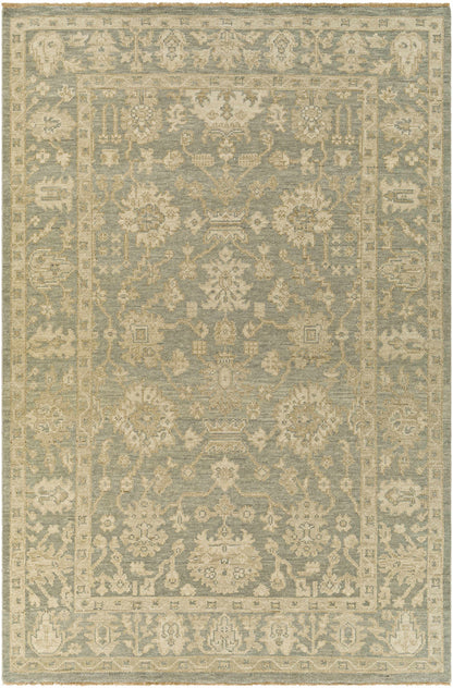 Reign REG-2306 Hand Knotted Rug