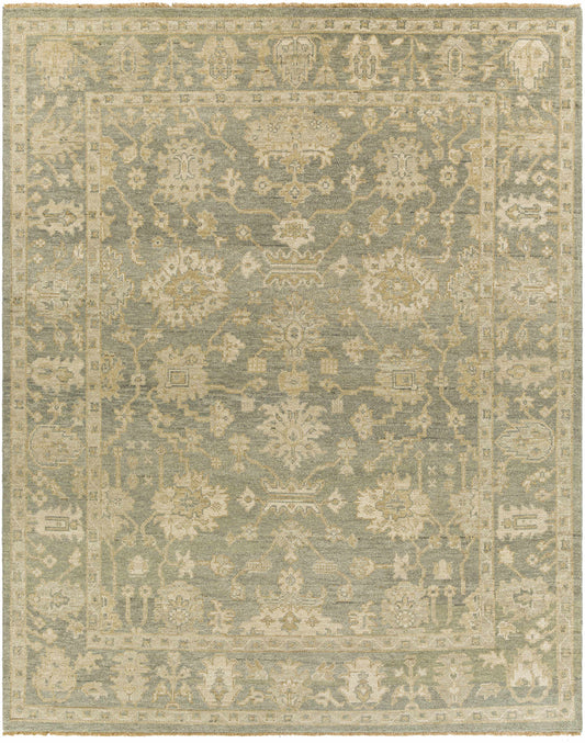 Reign REG-2306 Hand Knotted Rug