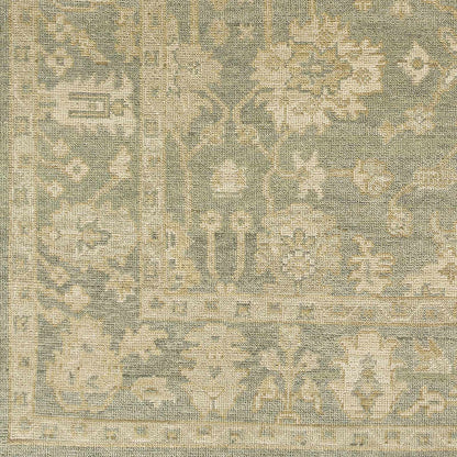 Reign REG-2306 Hand Knotted Rug