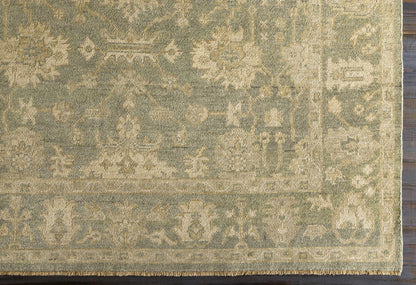 Reign REG-2306 Hand Knotted Rug