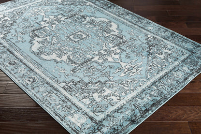 Mumbai MUM-2314 Machine Woven Rug