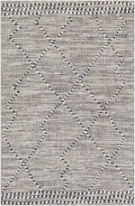Ariana RIA-2300 Machine Woven Rug