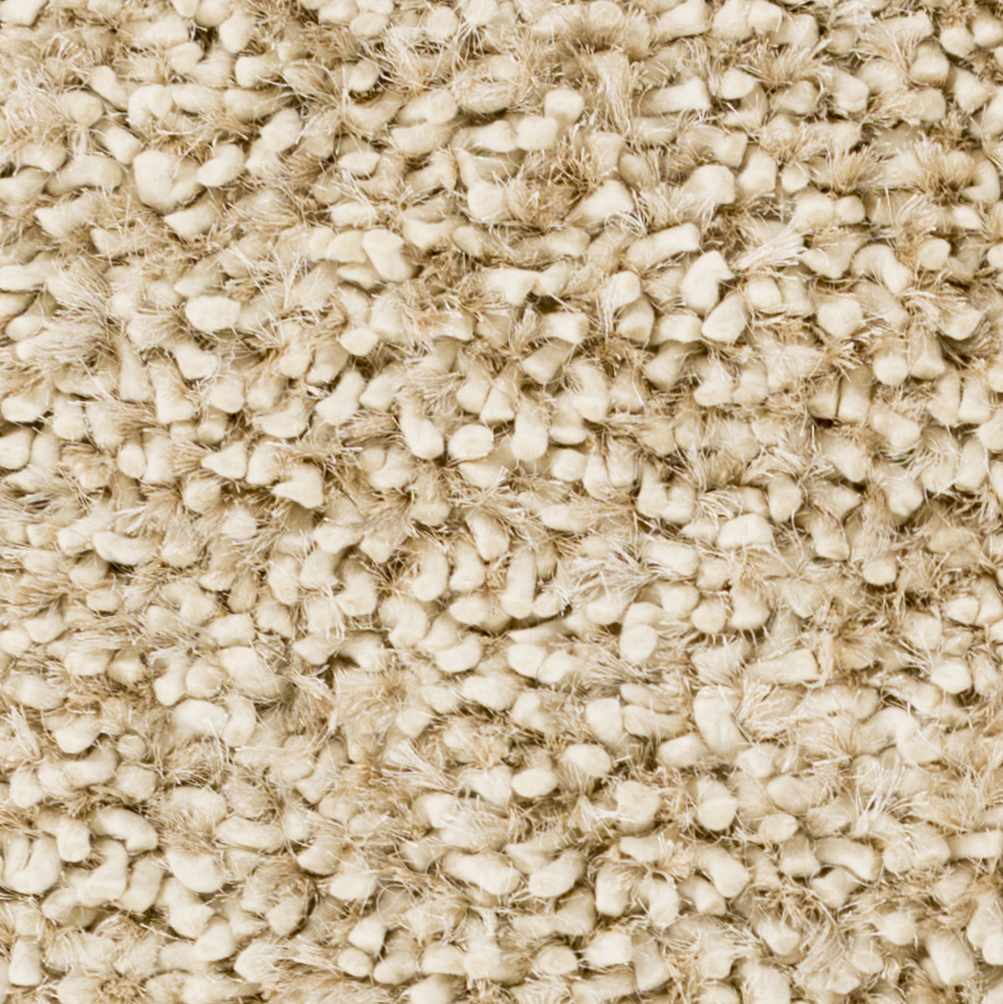 Rugs : CML-2000