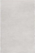 Dutchess DTC-8005 Hand Woven Rug