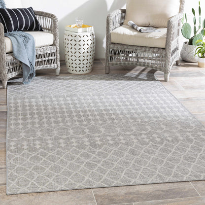 Veranda VRD-2308 Machine Woven Rug