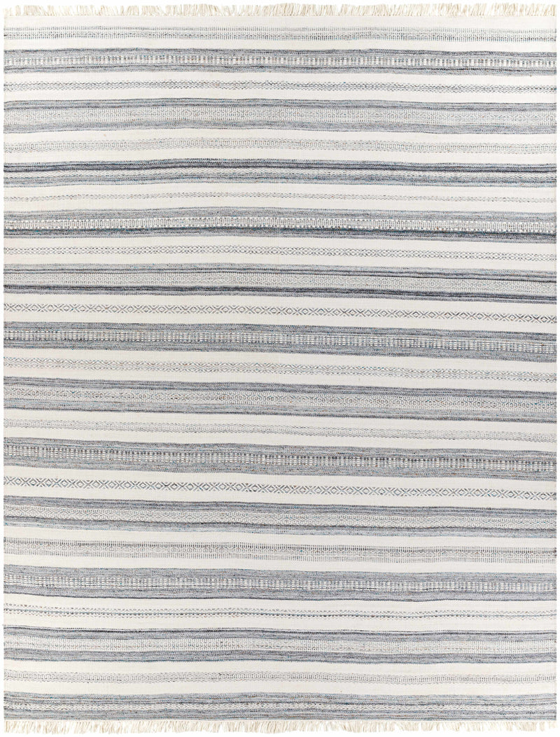 Light Beige Hand Woven 100% Recycled PET Yarn Modern Rectangle Handmade rug, Indoor use only, has fringe, non-washable. runner also available