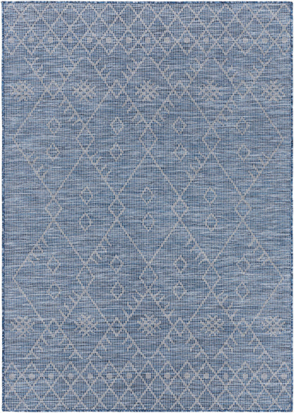 Pasadena PSA-2363 Machine Woven Rug