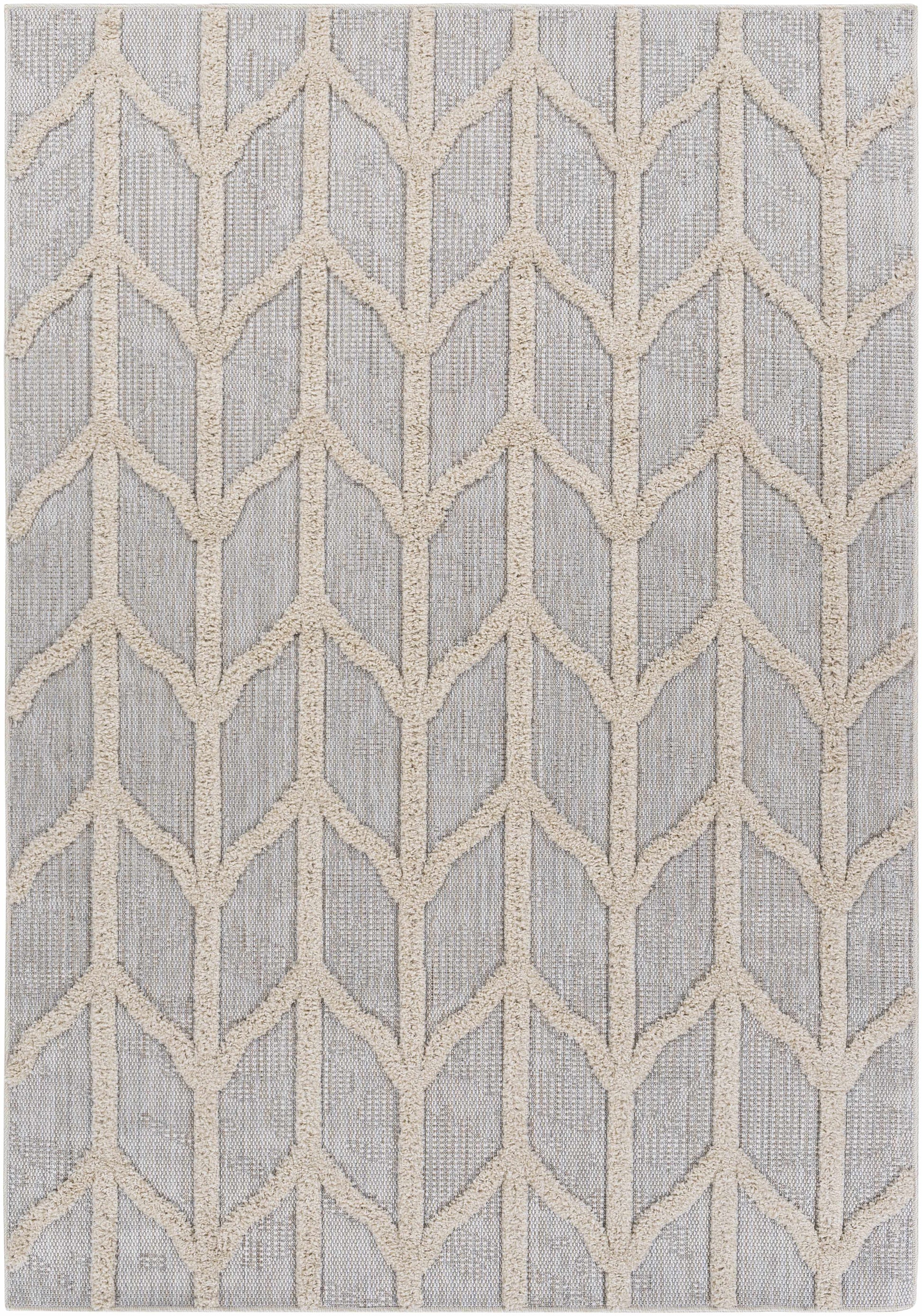 Toledo TLD-2306 Machine Woven Rug