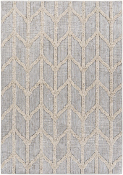 Toledo TLD-2306 Machine Woven Rug