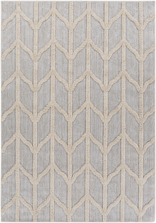 Toledo TLD-2306 Machine Woven Rug