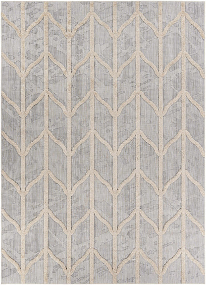 Toledo TLD-2306 Machine Woven Rug