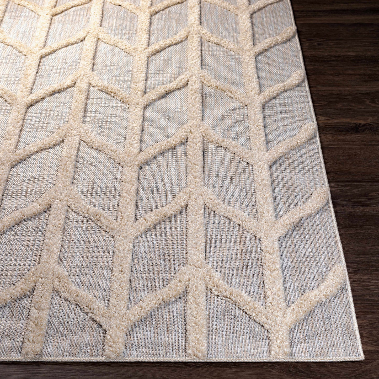 Toledo TLD-2306 Machine Woven Rug