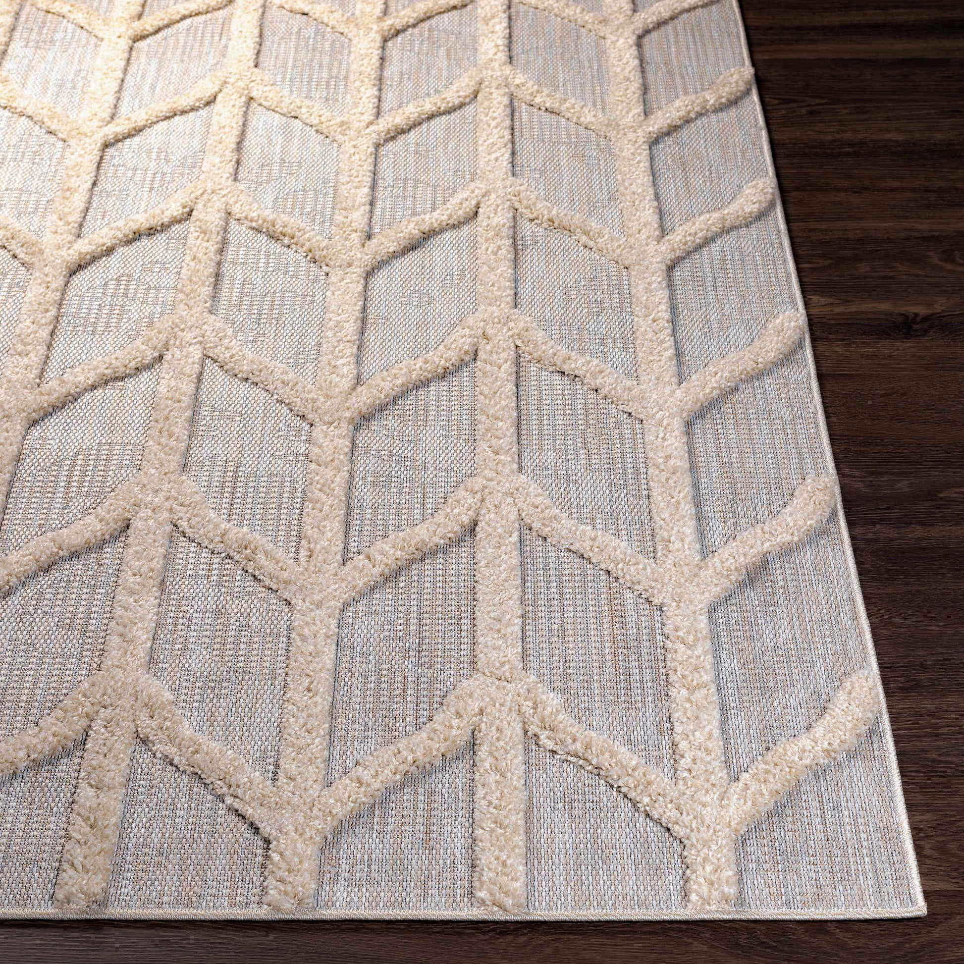 Toledo TLD-2306 Machine Woven Rug