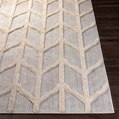 Toledo TLD-2306 Machine Woven Rug