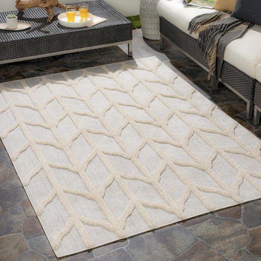 Toledo TLD-2306 Machine Woven Rug