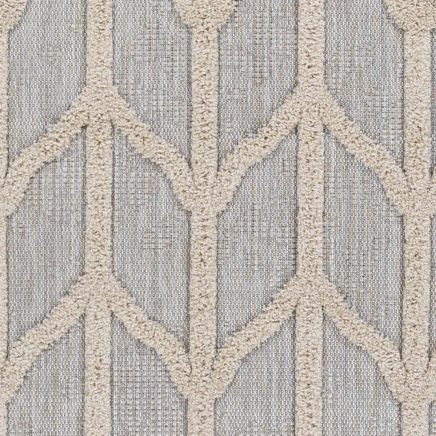 Toledo TLD-2306 Machine Woven Rug