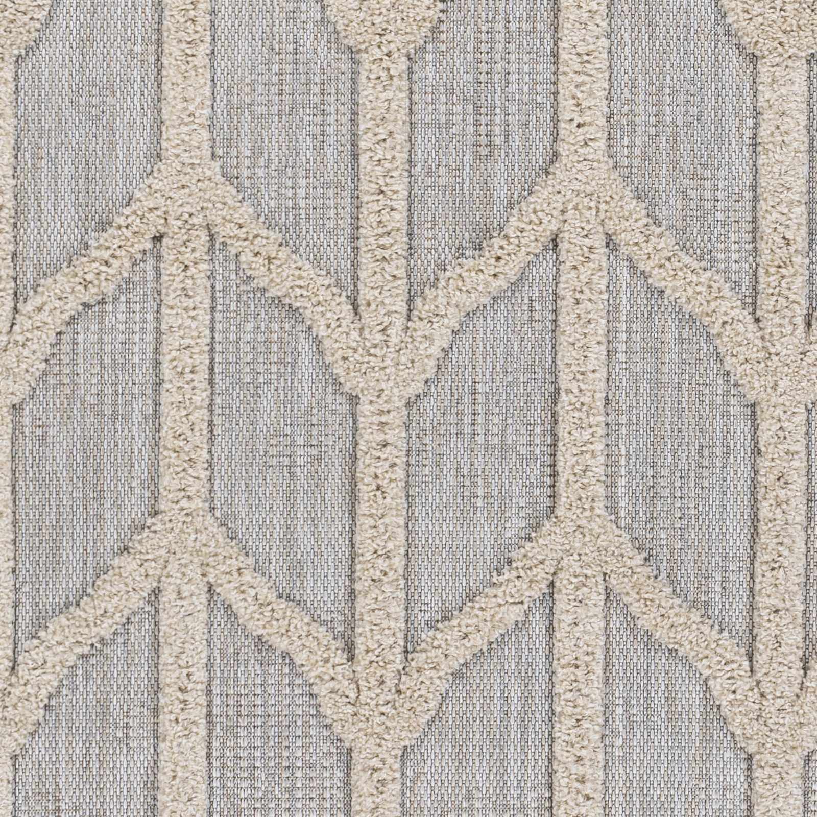 Toledo TLD-2306 Machine Woven Rug