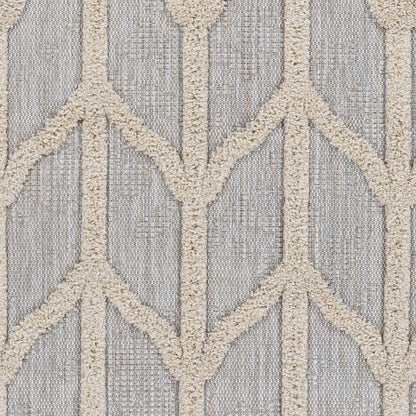 Toledo TLD-2306 Machine Woven Rug