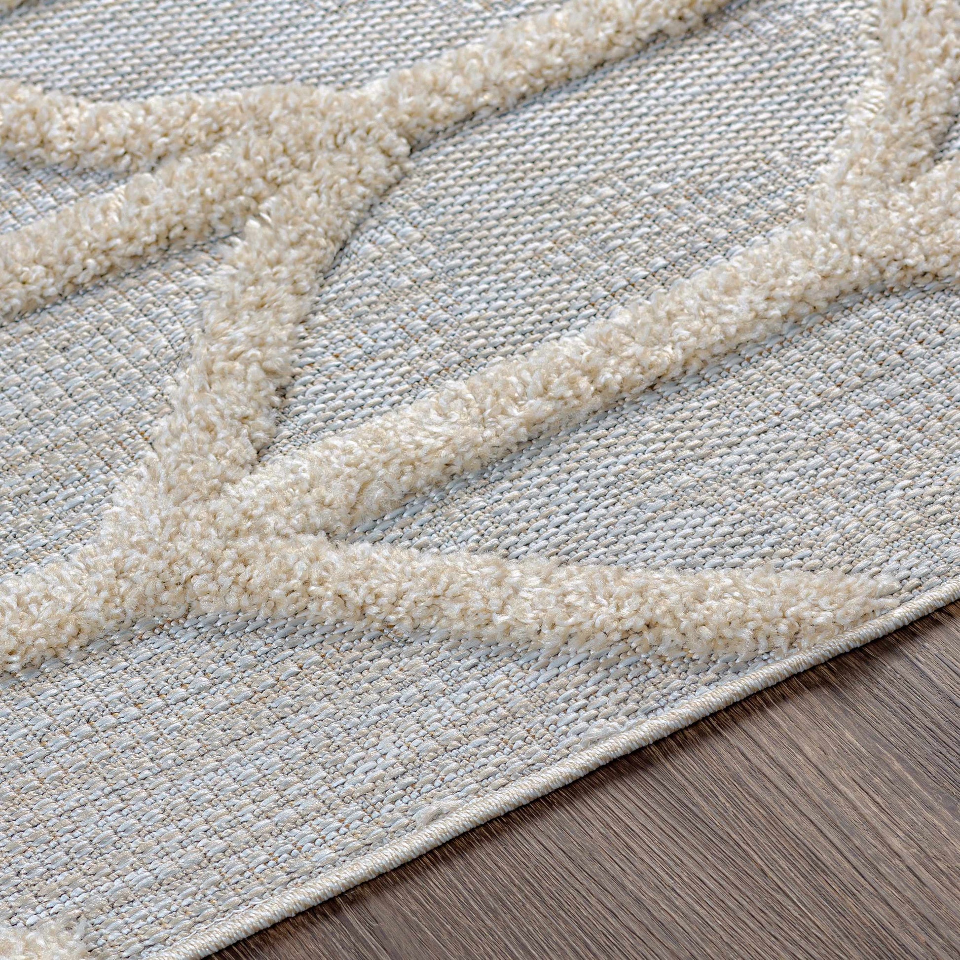 Toledo TLD-2306 Machine Woven Rug