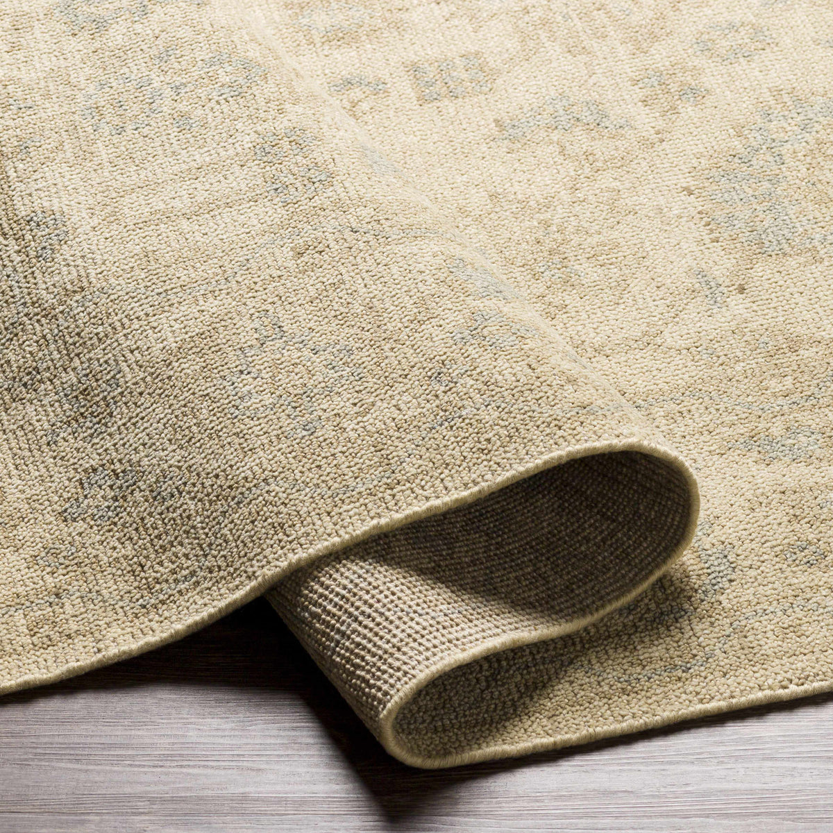 Reign REG-2307 Hand Knotted Rug