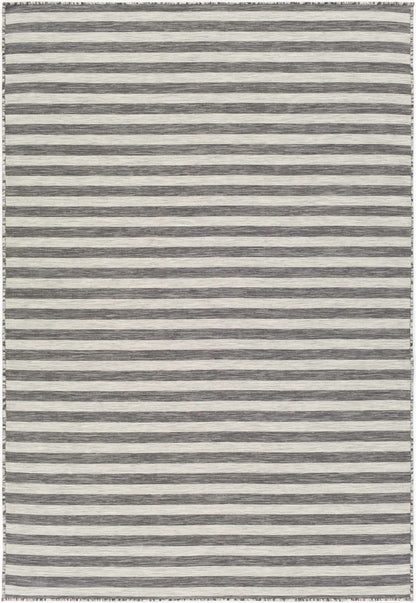 Pasadena PSA-2304 Machine Woven Rug