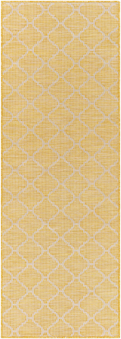 Pasadena PSA-2347 Machine Woven Rug