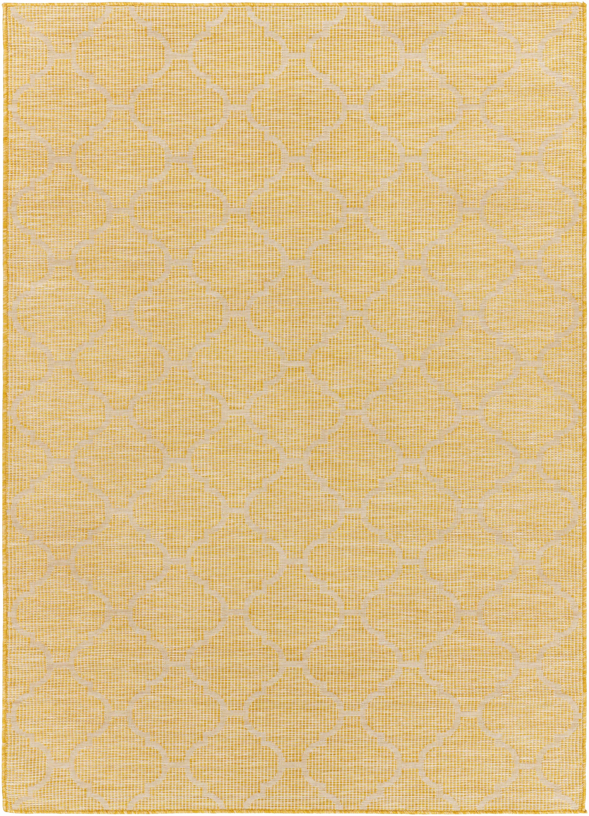 Pasadena PSA-2347 Machine Woven Rug