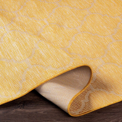 Pasadena PSA-2347 Machine Woven Rug