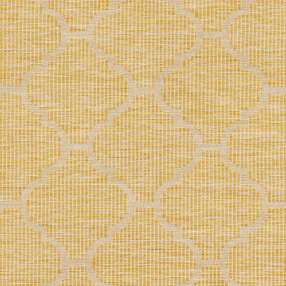 Pasadena PSA-2347 Machine Woven Rug