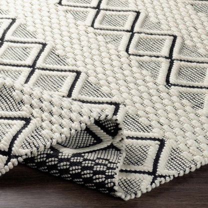 Saint Clair SIC-2301 Hand Woven Rug