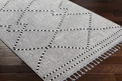 Palermo PLR-2302 Machine Woven Rug