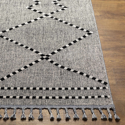 Palermo PLR-2302 Machine Woven Rug