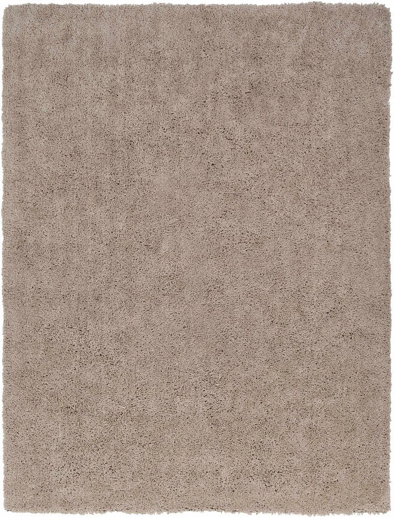 Light Olive Hand Woven 100% Polyester Modern Rectangle Handmade rug, Indoor use only, no fringe, non-washable.