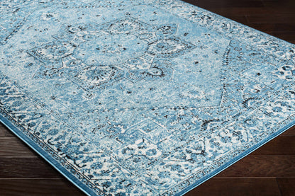 Mumbai MUM-2309 Machine Woven Rug