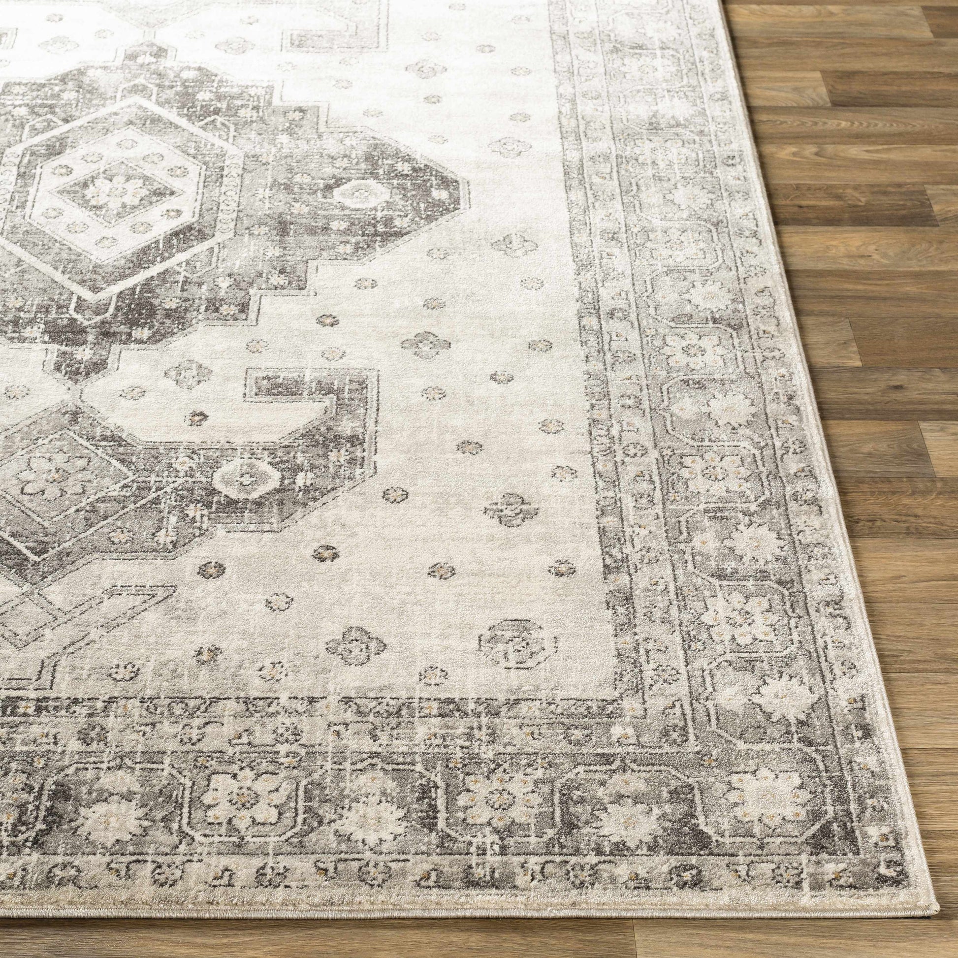 Indigo IGO-2322 Machine Woven Rug