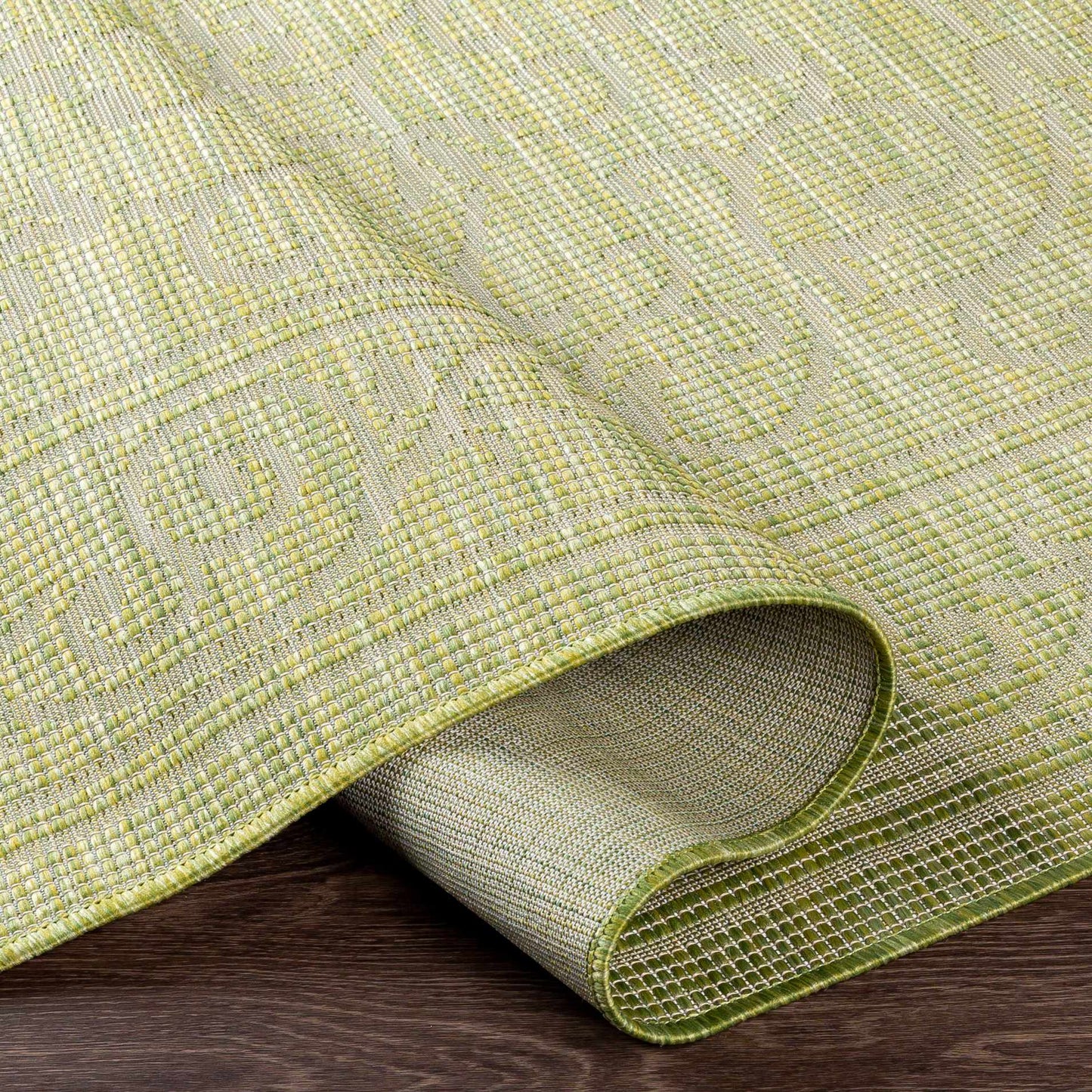 Pasadena PSA-2355 Machine Woven Rug