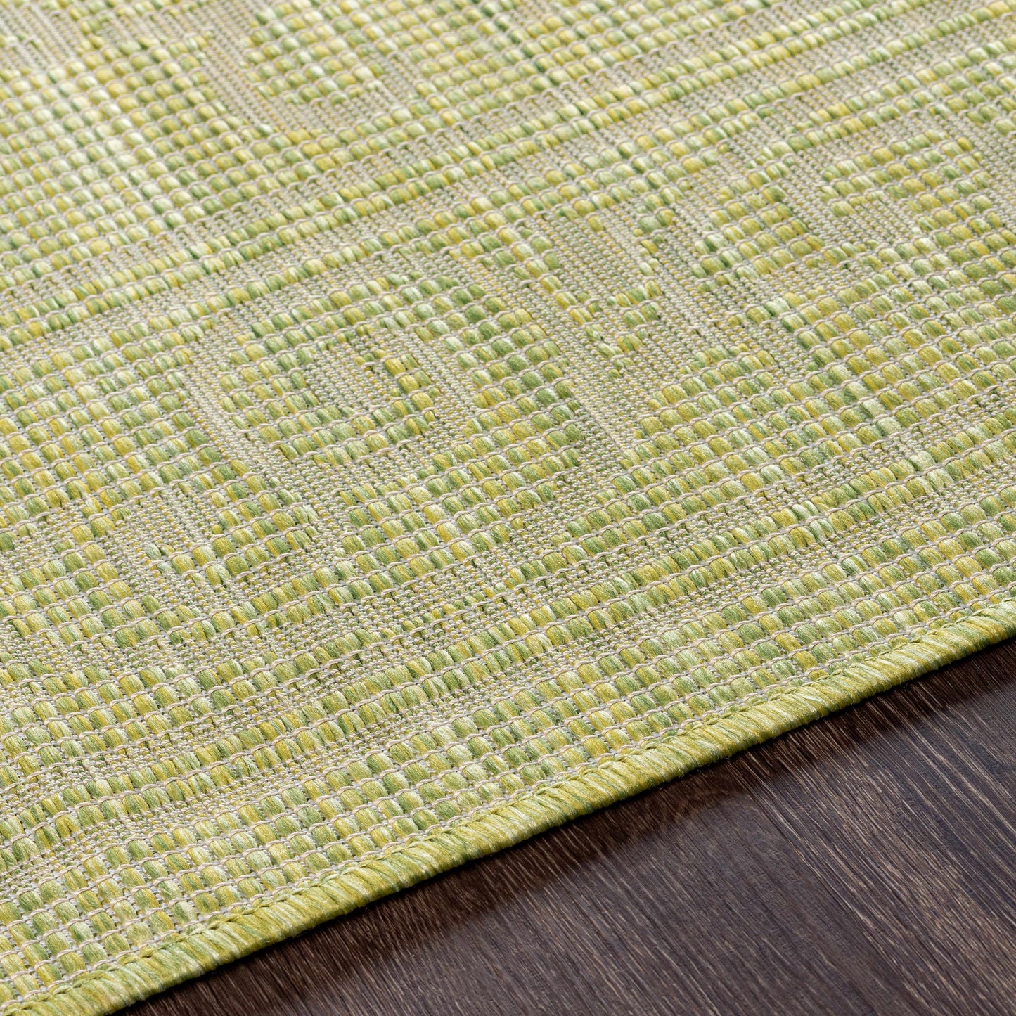 Pasadena PSA-2355 Machine Woven Rug