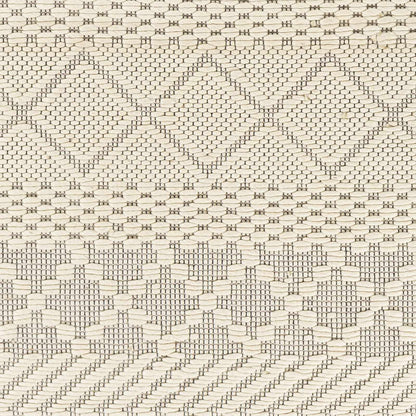 Saint Clair SIC-2303 Hand Woven Rug