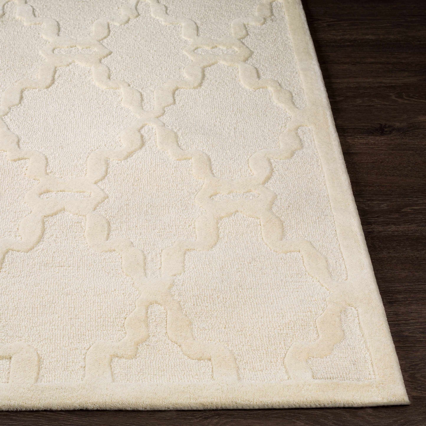 Chandler CHA-4000 Hand Tufted Rug