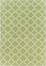 Frontier FT-226 Hand Woven Rug