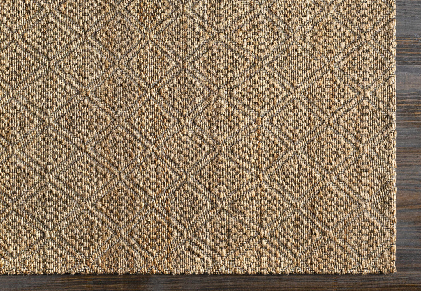 Trace TCE-2300 Hand Woven Rug