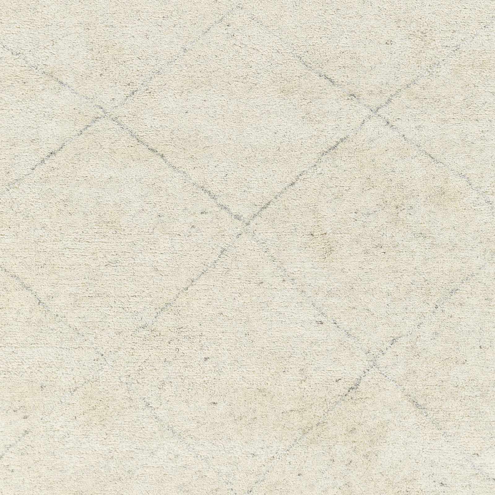 Zara ZAR-2301 Hand Knotted Rug