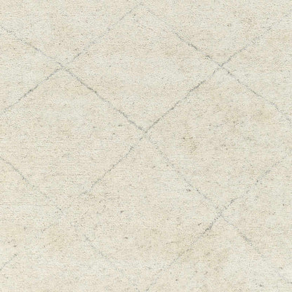 Zara ZAR-2301 Hand Knotted Rug