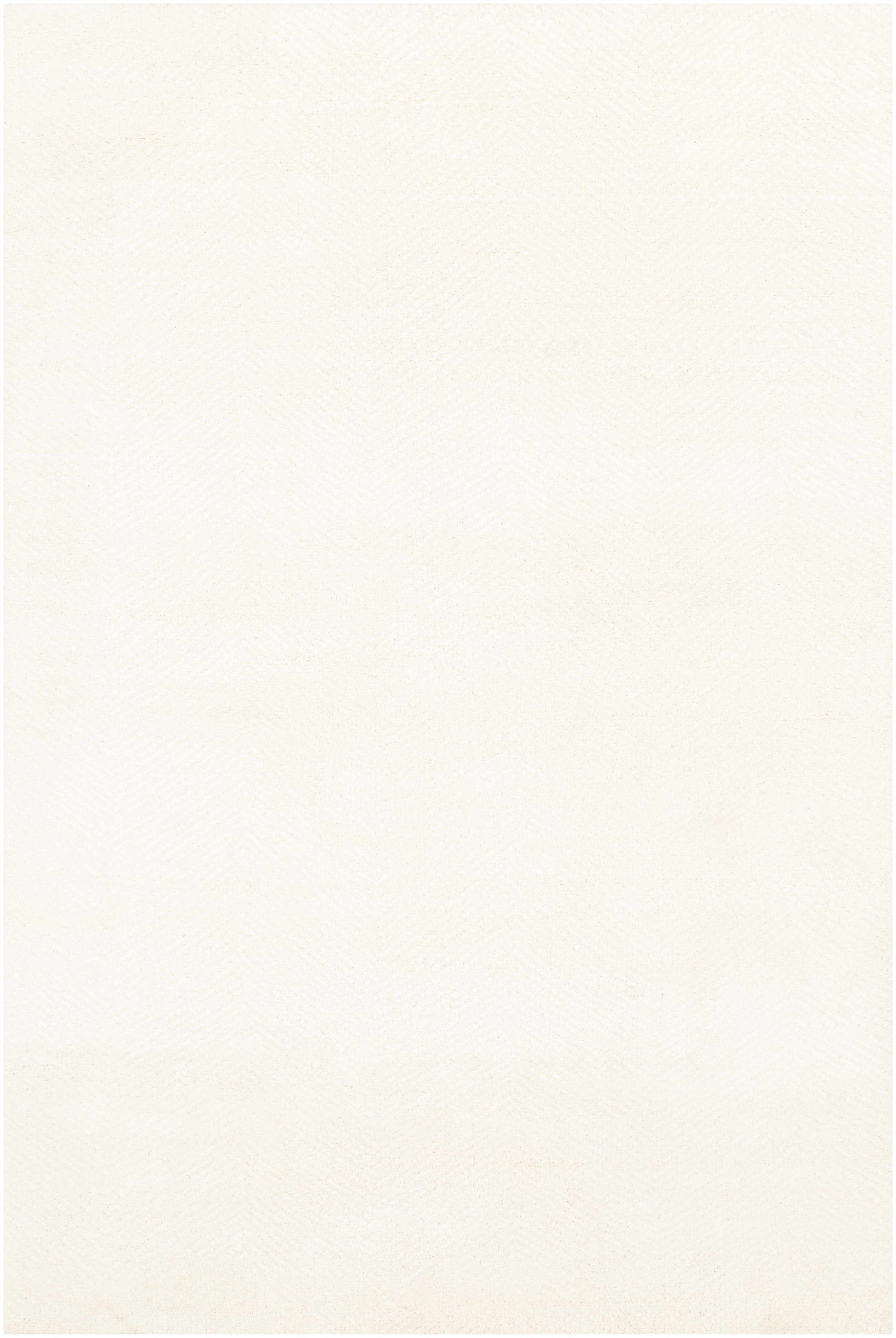 Parma PMA-2301 Hand Knotted Rug