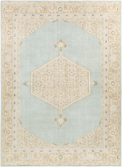Zahra ZHA-4029 Hand Knotted Rug