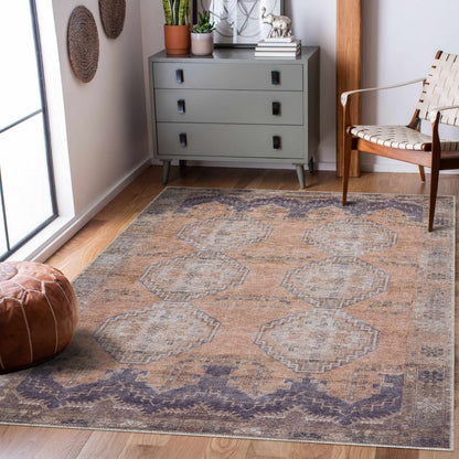Antiquity AUY-2305 Machine Woven Rug