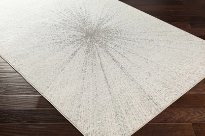 Chester CHE-2305 Machine Woven Rug