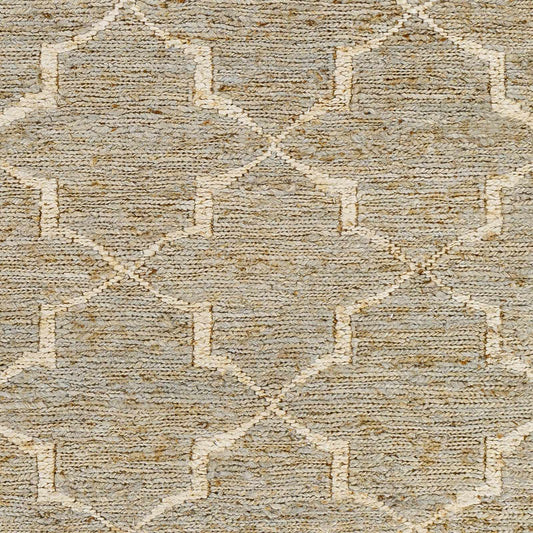 Riah RIH-2304 Hand Woven Rug