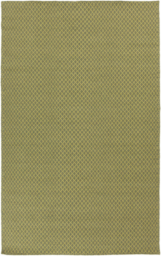 Ravena RVN-3119 Hand Woven Rug